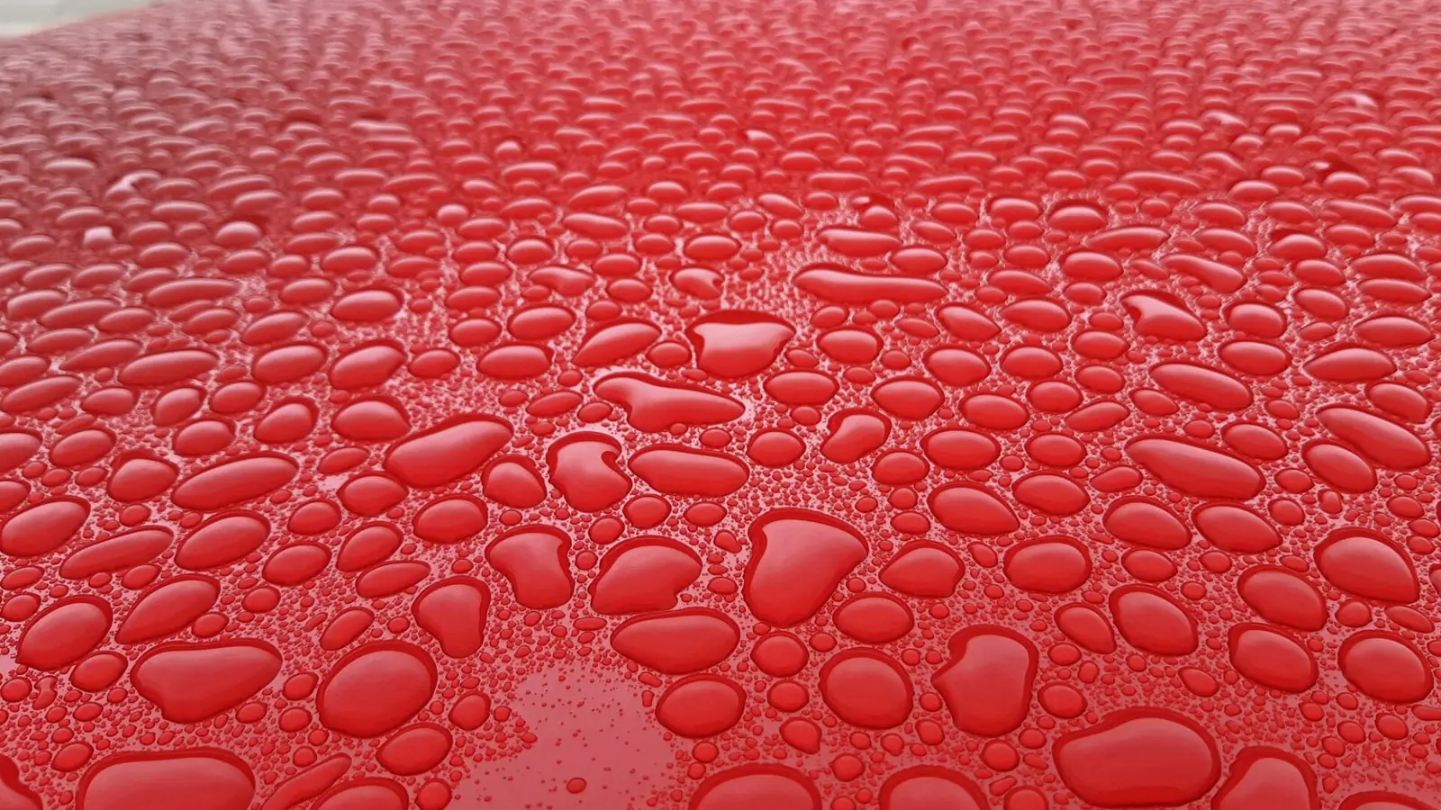 Rain beading into droplets on a polished red car roof
